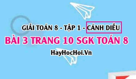 Giải bài 3 trang 10 Toán 8 Tập 1 SGK Cánh Diều